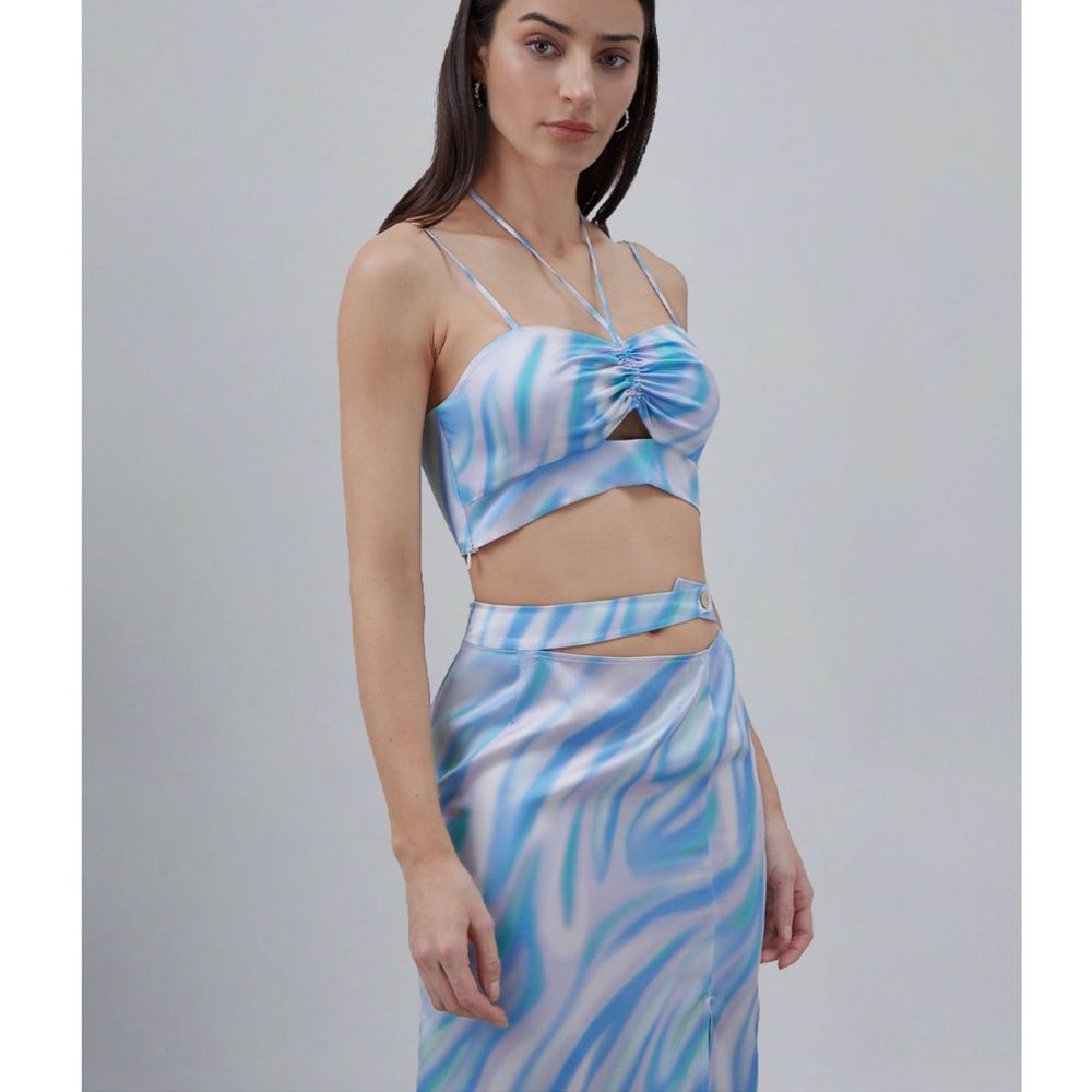 Silk Skirt and Crop Top Set